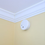 FIRE SENTRY™ Micro Profile Smoke and Fire Alarm 